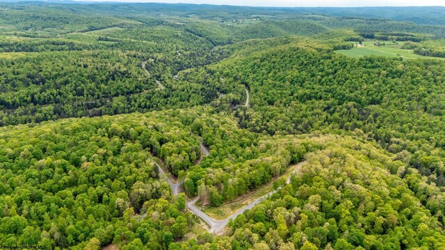 120 Laurel Loop, Bruceton Mills, WV 26525
