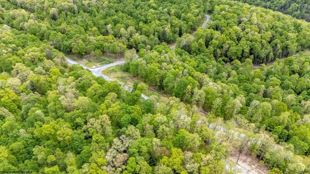 120 Laurel Loop, Bruceton Mills, WV 26525