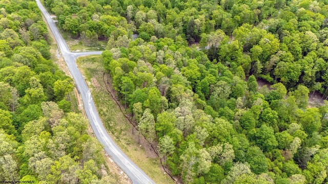 120 Laurel Loop, Bruceton Mills, WV 26525
