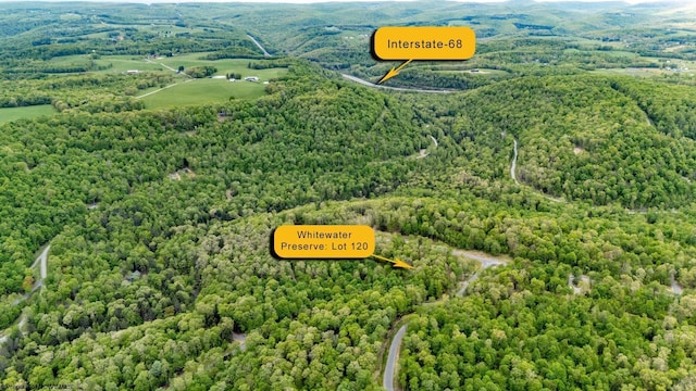 120 Laurel Loop, Bruceton Mills, WV 26525