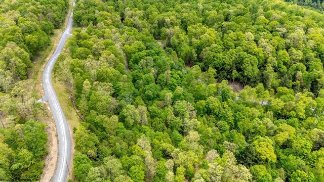 120 Laurel Loop, Bruceton Mills, WV 26525