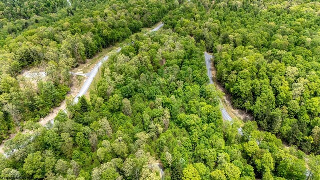 120 Laurel Loop, Bruceton Mills, WV 26525
