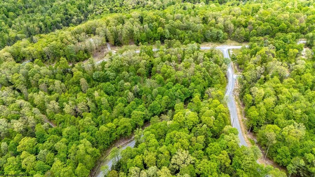 120 Laurel Loop, Bruceton Mills, WV 26525