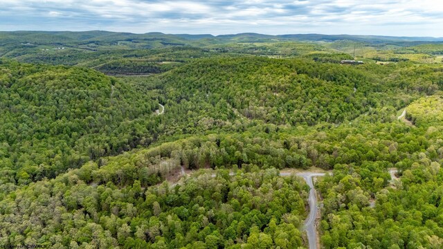 120 Laurel Loop, Bruceton Mills, WV 26525