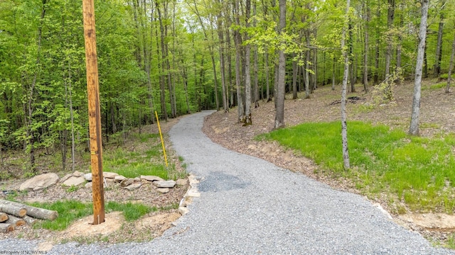 120 Laurel Loop, Bruceton Mills, WV 26525