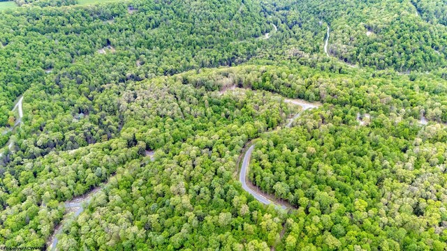 120 Laurel Loop, Bruceton Mills, WV 26525