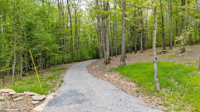 120 Laurel Loop, Bruceton Mills, WV 26525