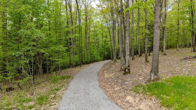 120 Laurel Loop, Bruceton Mills, WV 26525