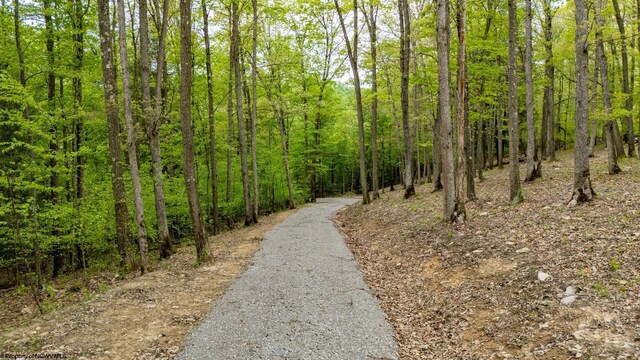 120 Laurel Loop, Bruceton Mills, WV 26525