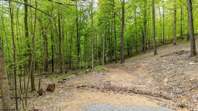 120 Laurel Loop, Bruceton Mills, WV 26525