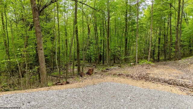 120 Laurel Loop, Bruceton Mills, WV 26525