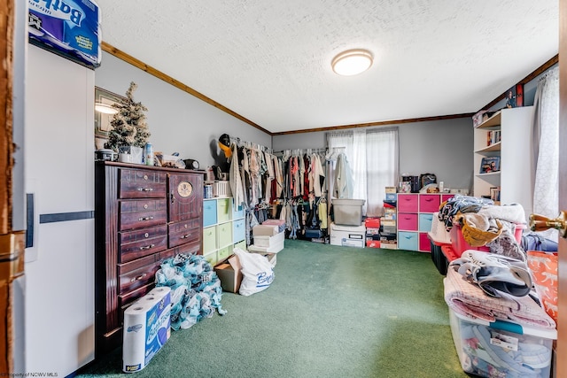 595 States Fork Rd, Metz, WV 26585 - bedroom with ornamental molding, carpet, and a textured ceiling