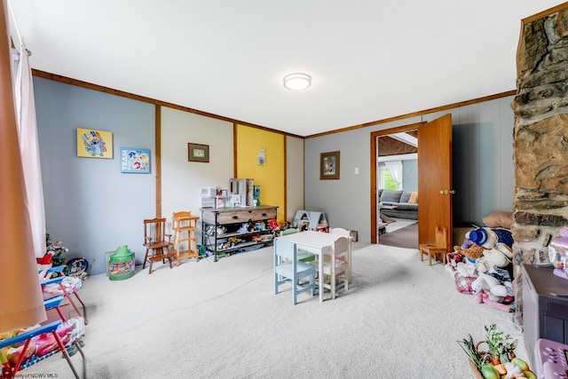 595 States Fork Rd, Metz, WV 26585 - playroom with carpet floors and crown molding