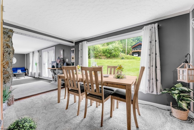 595 States Fork Rd, Metz, WV 26585 - dining area featuring carpet, plenty of natural light, and a textured ceiling