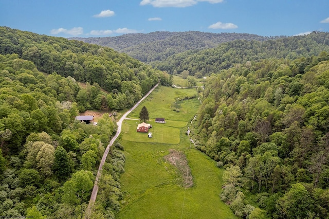 595 States Fork Rd, Metz, WV 26585 - drone / aerial view of a forest and mountains