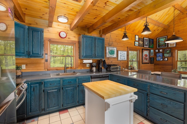 1 Ginger Ct, Terra Alta, WV 26764 - kitchen featuring blue cabinetry, wood walls, wooden ceiling, a sink, and appliances with stainless steel finishes
