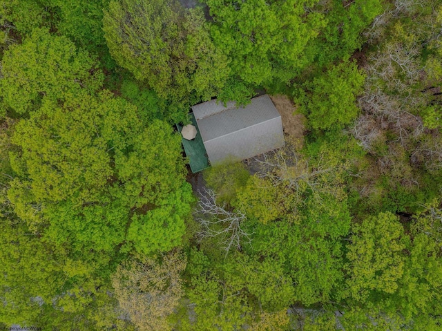 1 Ginger Ct, Terra Alta, WV 26764 - view of subject property with a forest