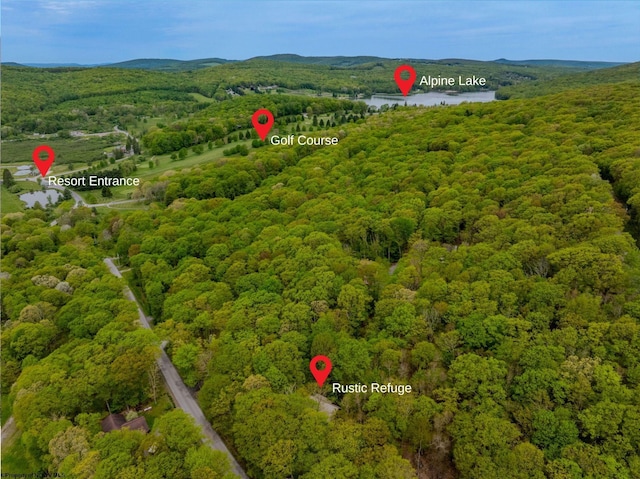 1 Ginger Ct, Terra Alta, WV 26764 - drone / aerial view of a forest and a large body of water