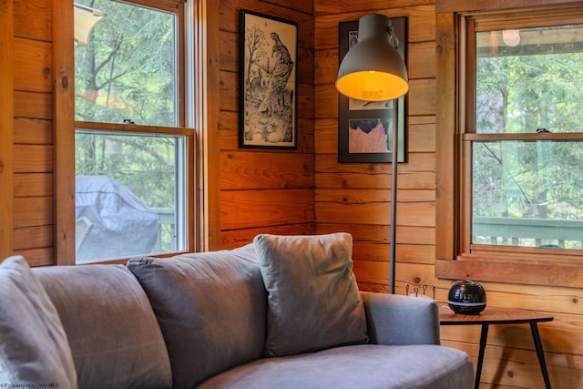 1 Ginger Ct, Terra Alta, WV 26764 - living area with healthy amount of natural light and wood walls