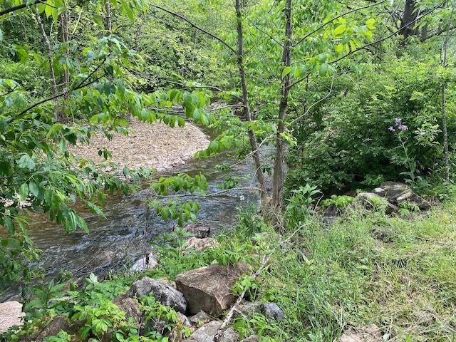 21434 Seneca Trl, Valley Head, WV 26294 - view of undeveloped land