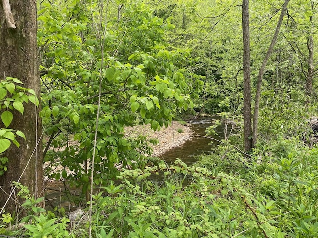 21434 Seneca Trl, Valley Head, WV 26294 - view of undeveloped land