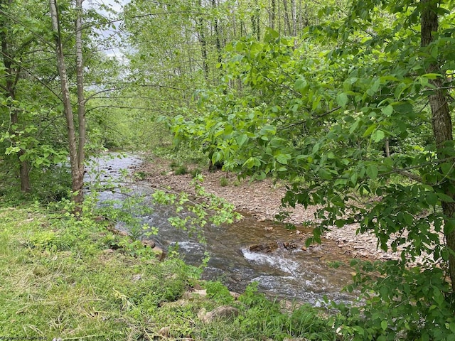 21434 Seneca Trl, Valley Head, WV 26294 - view of undeveloped land