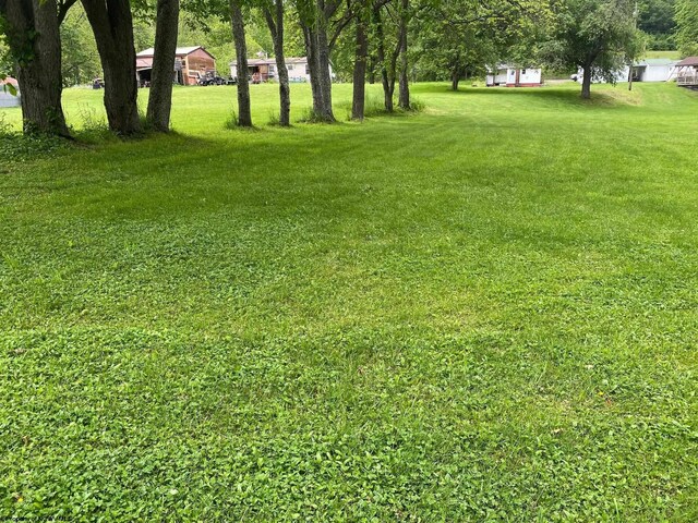 21434 Seneca Trl, Valley Head, WV 26294 - view of grassy yard