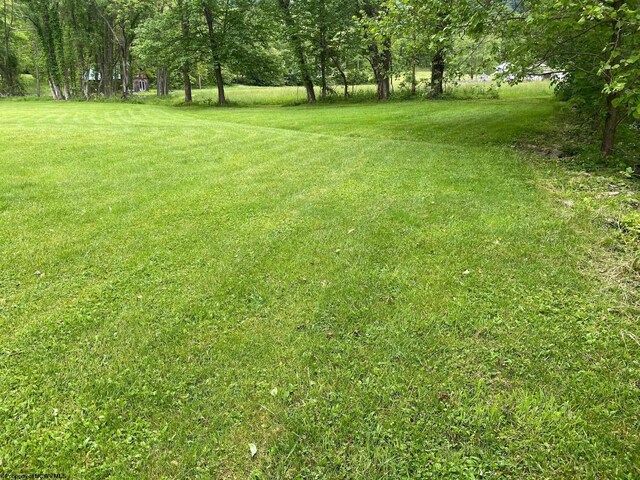 21434 Seneca Trl, Valley Head, WV 26294 - view of green lawn