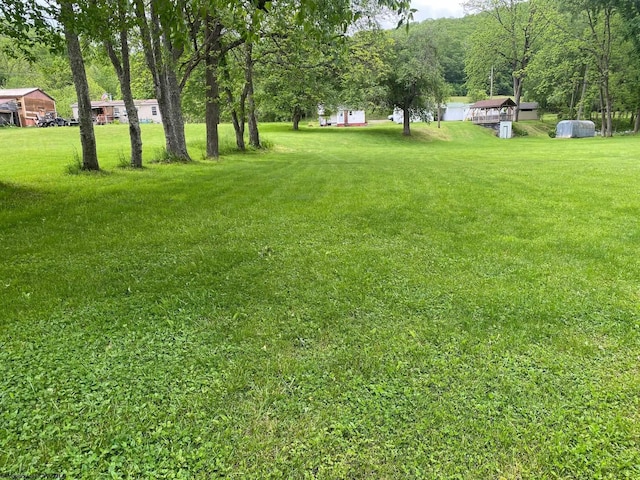21434 Seneca Trl, Valley Head, WV 26294 - view of green lawn