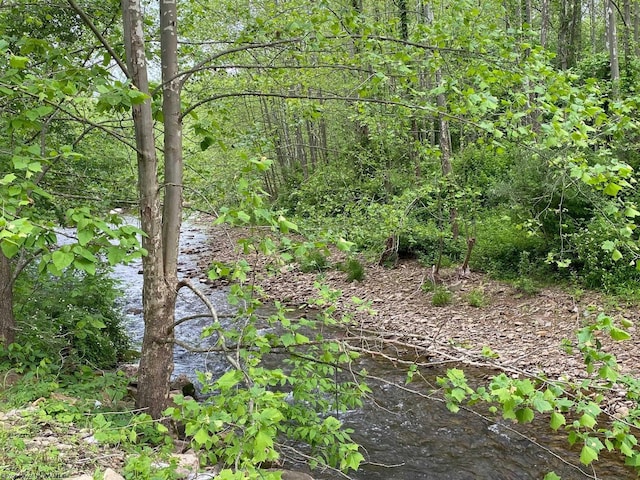 21434 Seneca Trl, Valley Head, WV 26294 - view of nature