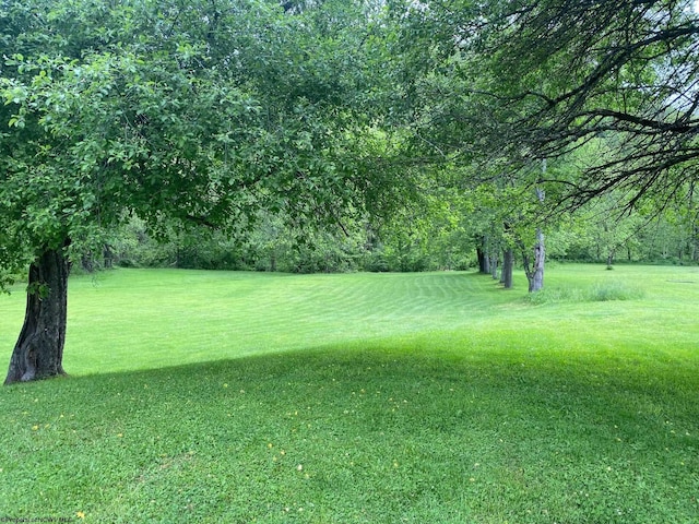 21434 Seneca Trl, Valley Head, WV 26294 - view of grassy yard