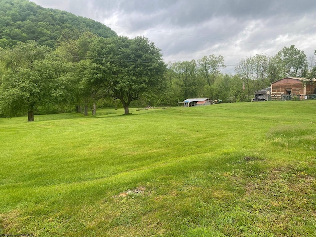 21434 Seneca Trl, Valley Head, WV 26294 - view of grassy yard featuring a detached carport and a wooded view