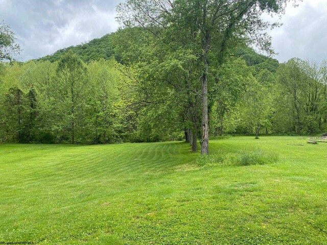 21434 Seneca Trl, Valley Head, WV 26294 - view of green lawn featuring a forest view