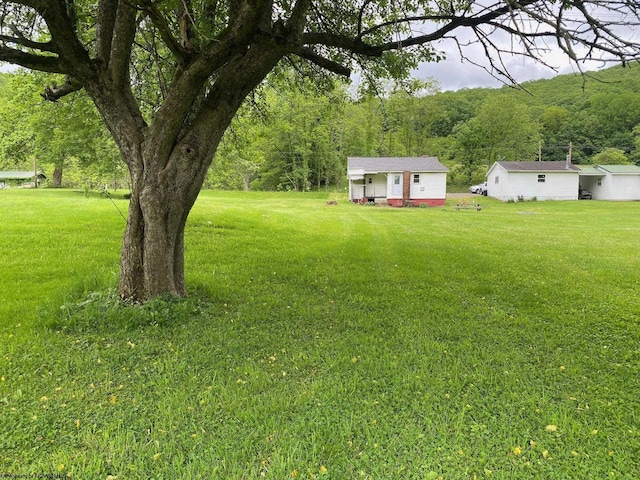 21434 Seneca Trl, Valley Head, WV 26294 - view of grassy yard with an outdoor structure and a wooded view