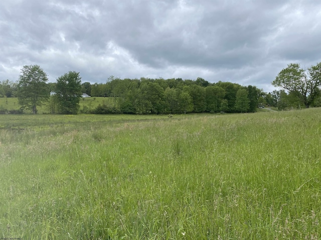 1001 Burner Rd, Philippi, WV 26416