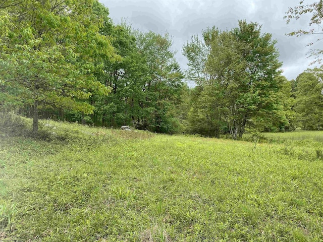 1001 Burner Rd, Philippi, WV 26416
