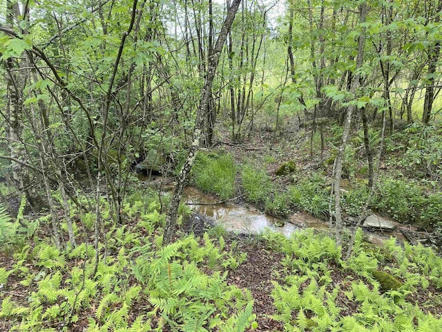 1001 Burner Rd, Philippi, WV 26416