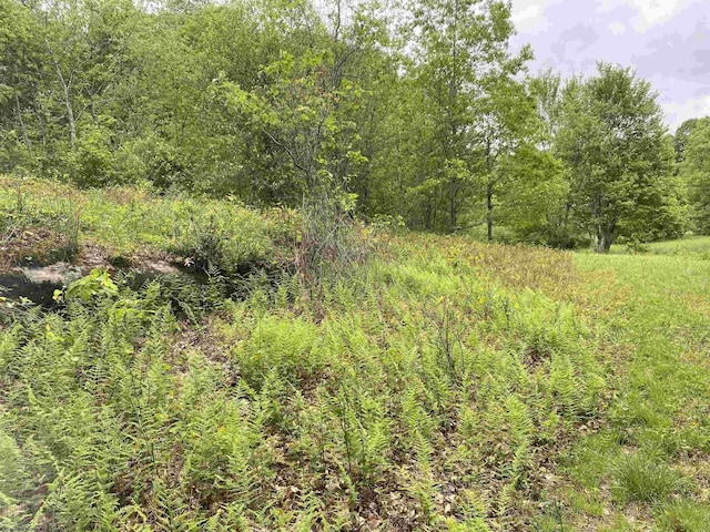 1001 Burner Rd, Philippi, WV 26416