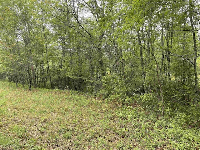 1001 Burner Rd, Philippi, WV 26416