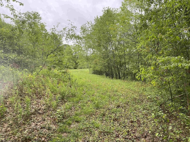 1001 Burner Rd, Philippi, WV 26416