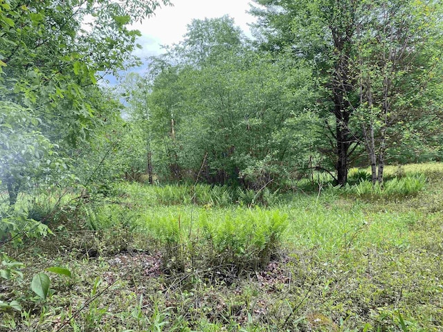 1001 Burner Rd, Philippi, WV 26416