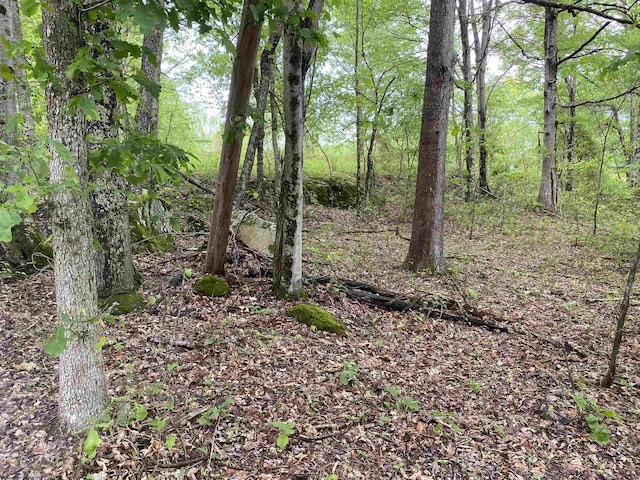 1001 Burner Rd, Philippi, WV 26416