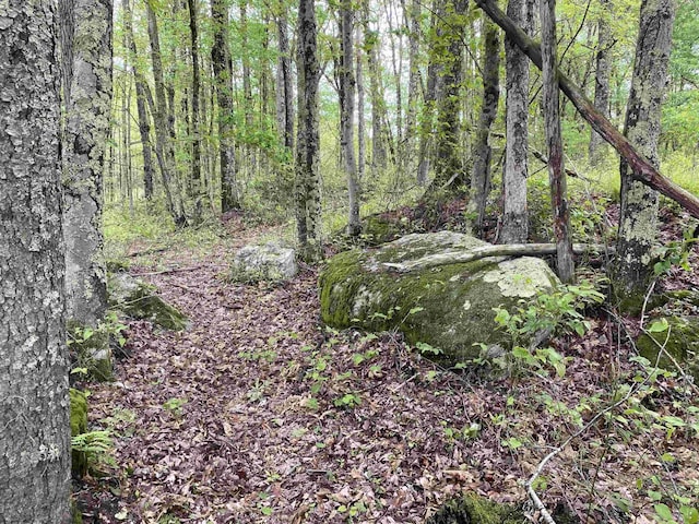 1001 Burner Rd, Philippi, WV 26416
