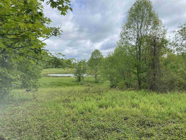 1001 Burner Rd, Philippi, WV 26416