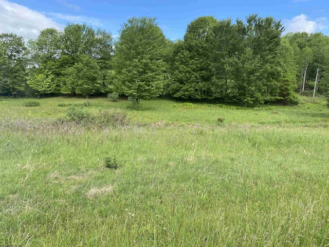 1001 Burner Rd, Philippi, WV 26416