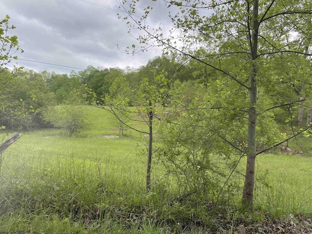 1001 Burner Rd, Philippi, WV 26416