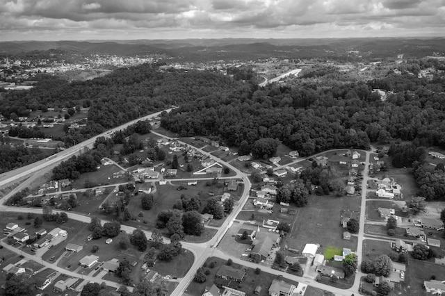1501 Rose Ln, Fairmont, WV 26554 - bird's eye view of a forest