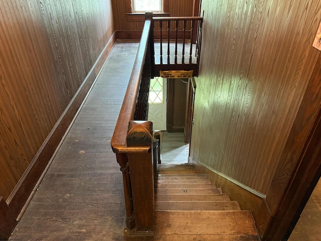248 Casteel Rd, Terra Alta, WV 26764 - staircase with hardwood / wood-style flooring, wood walls, and baseboards