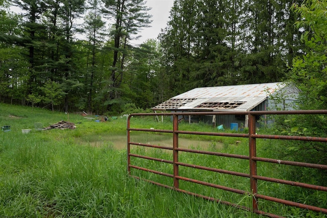 248 Casteel Rd, Terra Alta, WV 26764 - view of yard with a wooded view