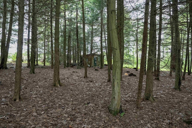 248 Casteel Rd, Terra Alta, WV 26764 - view of local wilderness